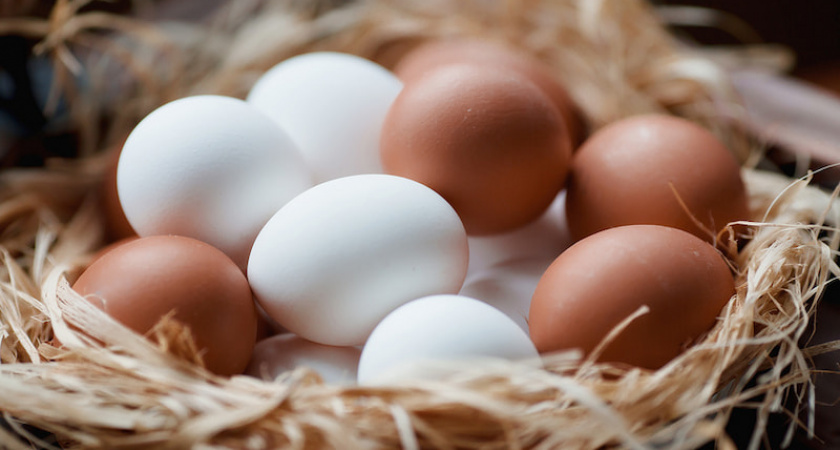 Нутрицолог рассказал о правилах употребления яиц