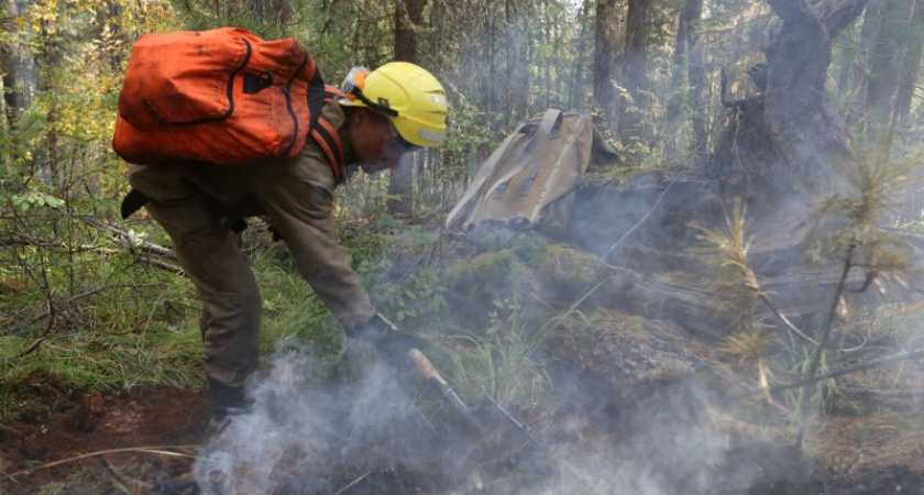В Коми по вине местных жителей вспыхнул лесной пожар