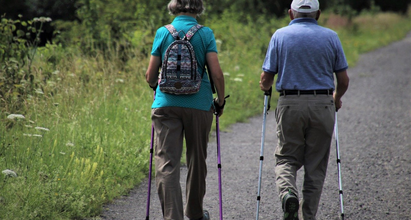 Секреты здоровья мозга назвали в Коми