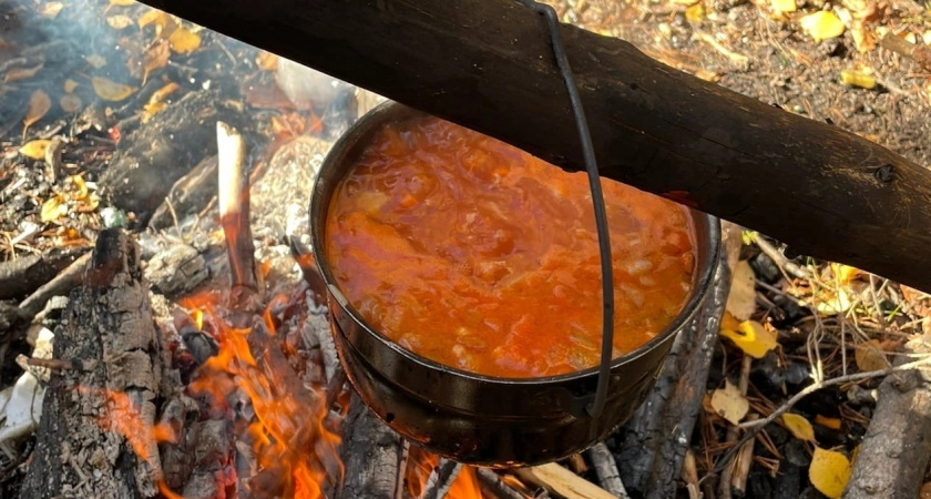 К жителям поселка в Коми отправят новую партию дров 15 октября