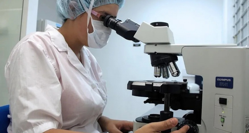 В Ухте продолжают бороться с опасным птичьим гриппом