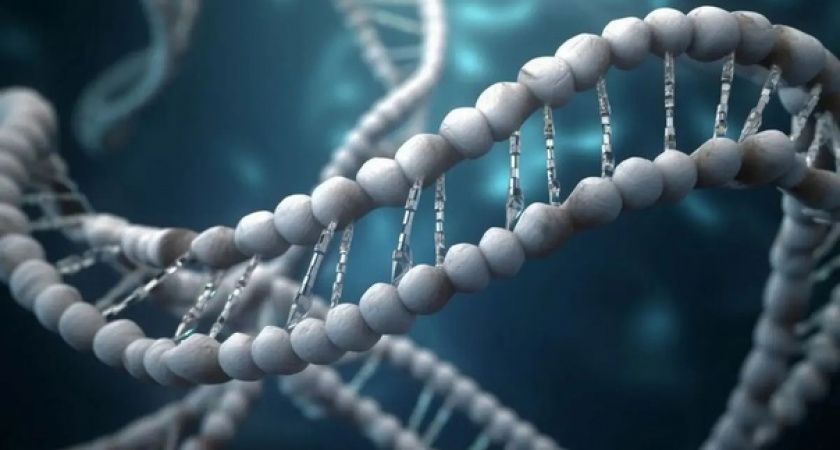 Раз в сто лет: в какие числа рождаются гении