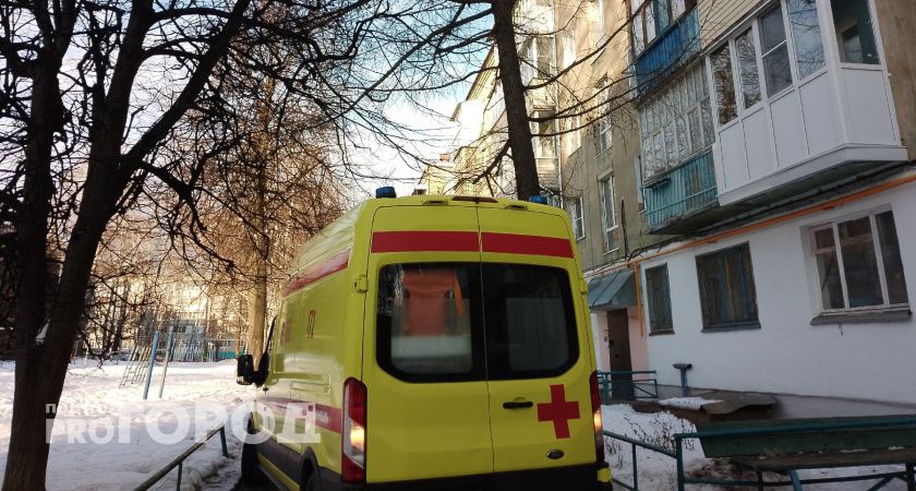 В Коми на лесозаготовителей напал медведь