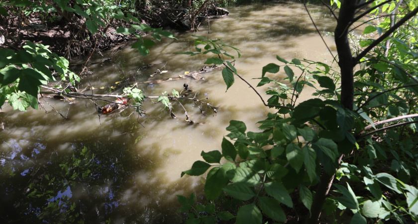 В Коми выросло число экстремально высоких загрязнений рек и озер
