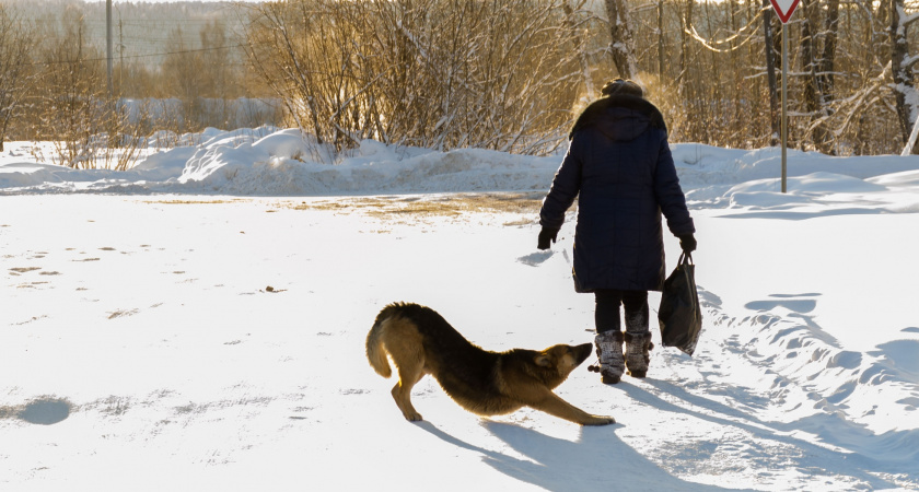 Теперь это будет бесплатно: российских пенсионеров, у которых нет дохода, кроме пенсии, ждет сюрприз