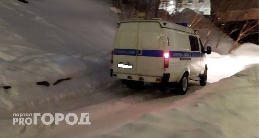 В Коми полиция изолировала 10-летнего ребенка для безопасности общества