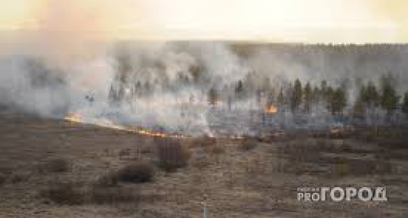 В Коми четыре месяца ожидается высокая вероятность лесных пожаров