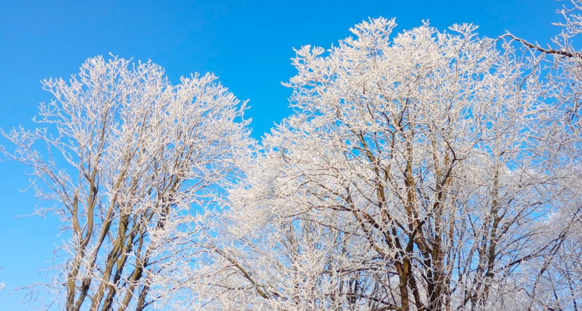Синоптики предсказали в Коми 18-градусные морозы