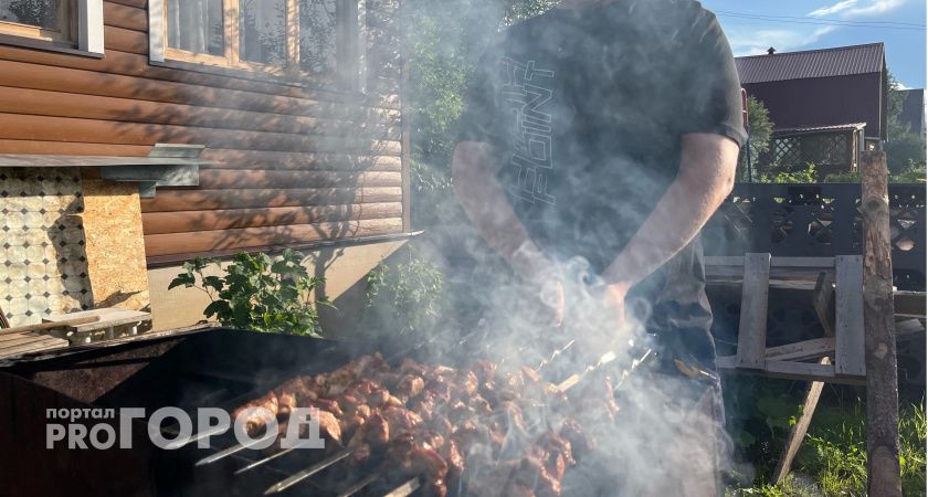 Популярный врач поделился с жителями Ухты рецептом "здорового" шашлыка