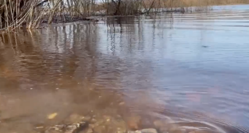 В Коми женщина упала в реку