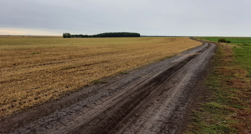 Республика Коми в лидерах среди регионов страны по урожайности овощей открытого грунта