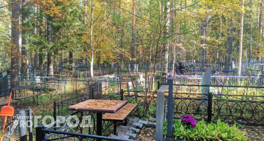 От отравления умерла замдиректора школы искусств из Коми