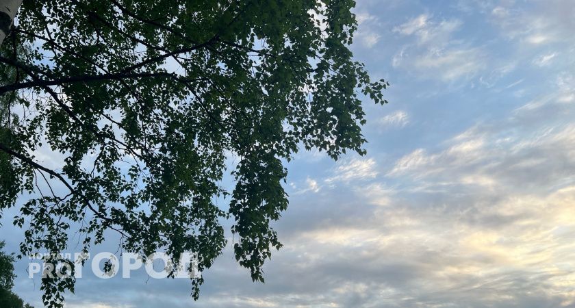 Синоптики рассказали о погоде в Коми на 11 июня