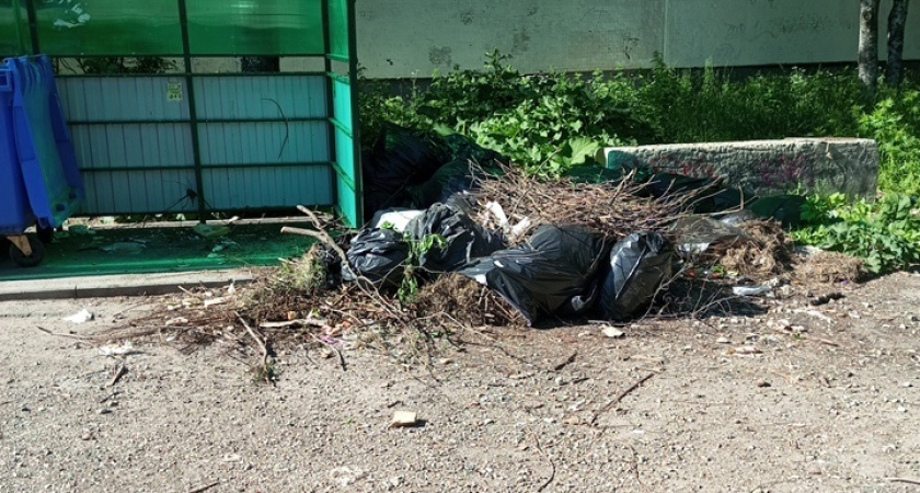 В Ухте жители жалуются на мусор во дворе