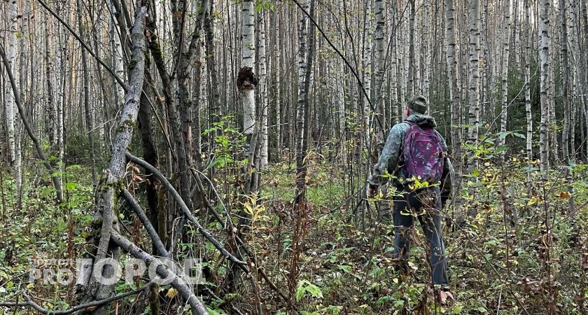 В лесах Коми найдено и собрано около 15,6 тонн частей ракет за год