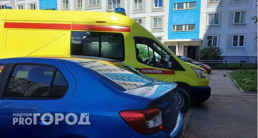 Фото к статье: В Коми мошенники атакуют медиков и госслужащих