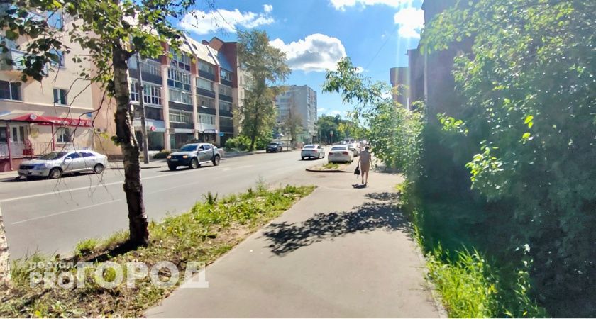 Синоптики рассказали о погоде в Коми на сегодня