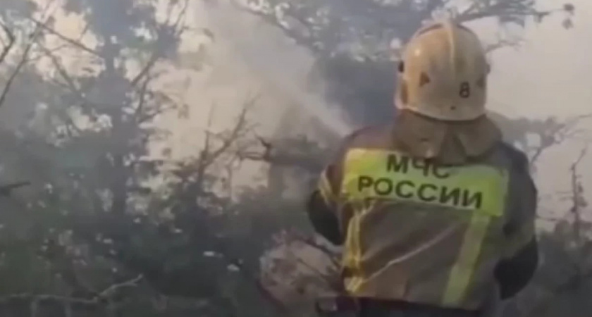 15 лесных пожаров по вине человека произошло в Коми в этом году