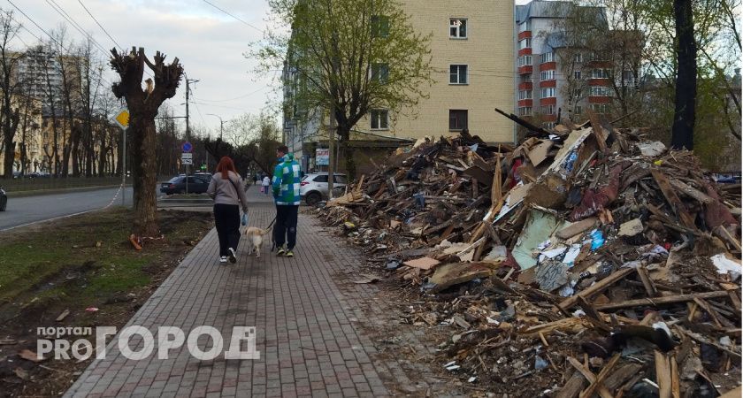 В Коми жители жалуются на количество безнадзорных собак