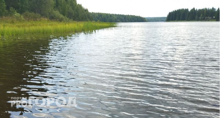 В Коми трагически погиб ребенок