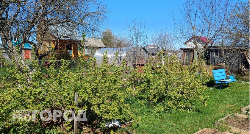 Жителям Ухты рассказали законные способы занять чужой участок