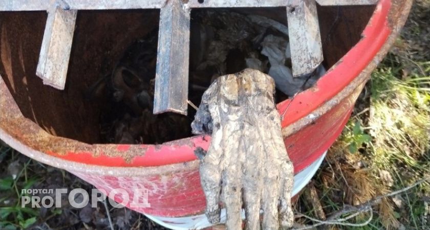 Под Ухтой обнаружены останки медведя в 200-литровой бочке