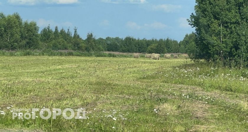 В одном из районов Коми компания испортила почву навозом