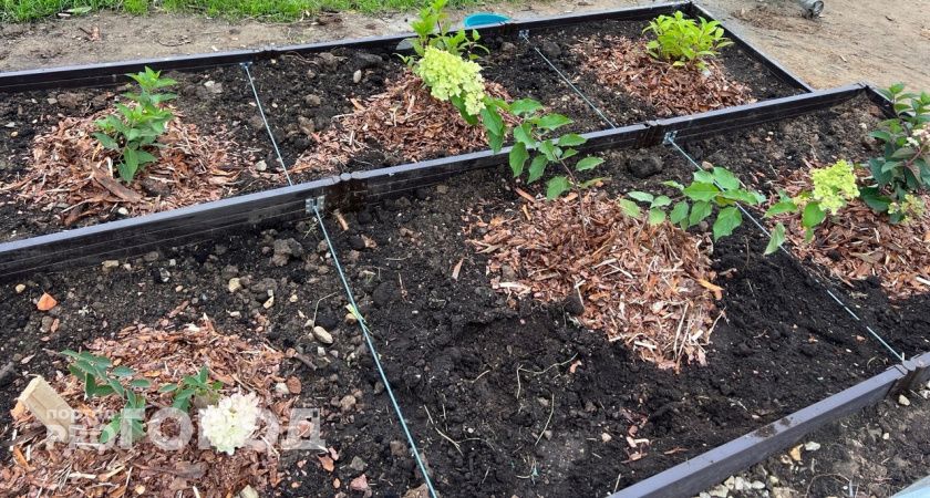 В одном из ухтинских поселков пройдёт конкурс «Лучший дачник»