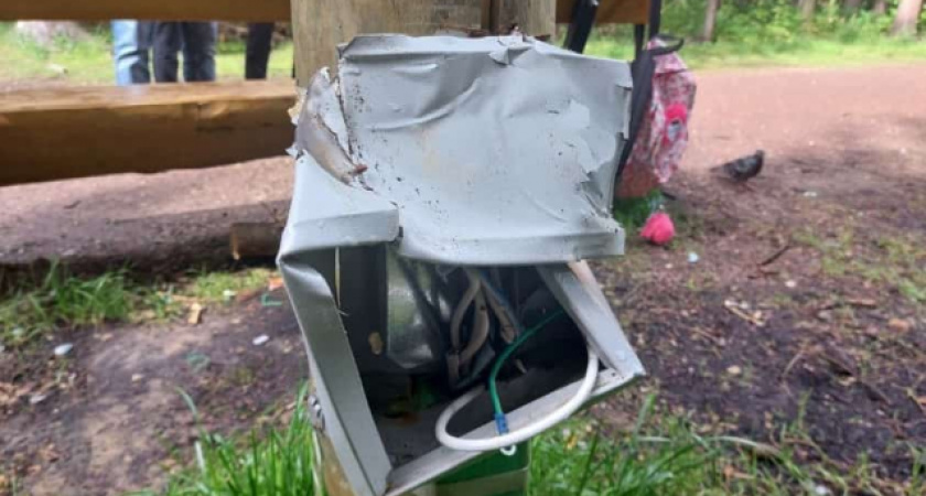 Ущерб от действий хулиганов в Беличьем парке оценили почти в 300 000 рублей