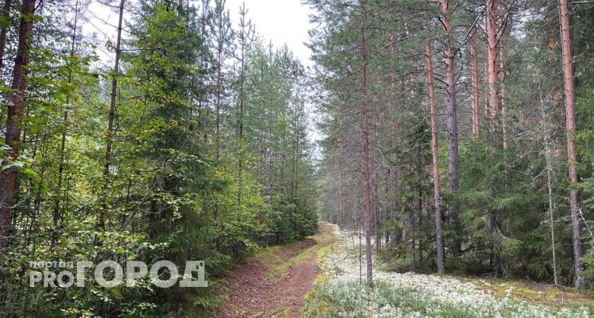 Синоптики рассказали о погоде в Коми на сегодня
