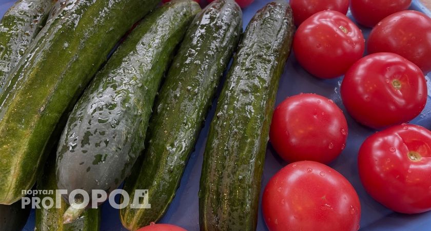 Жители Республики могут отдать голос за новый "Вкус Коми"