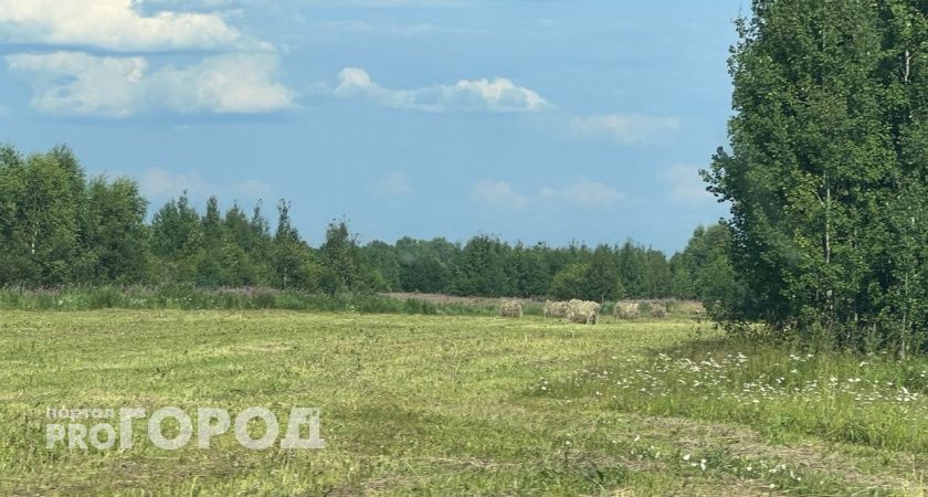 В Ухте и Сосногорске сотрудники "СПАС-КОМИ" спасли заблудившихся грибников