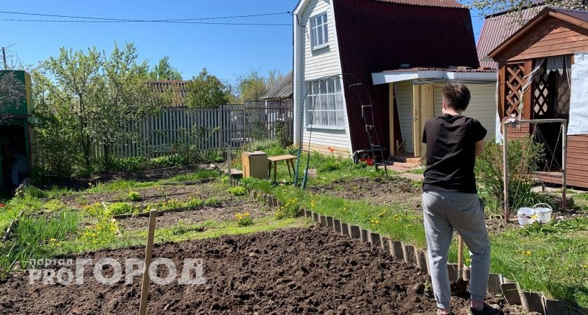 «Коснется каждого». Озвучено, за что могут оштрафовать владельцев дач 