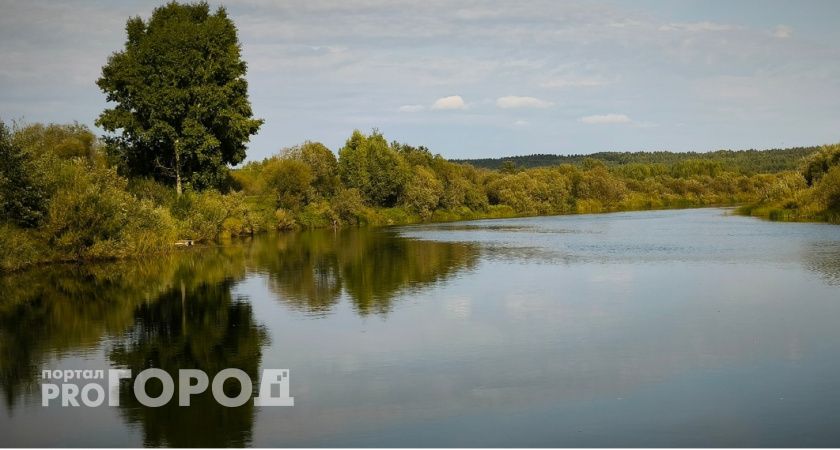 Жителей Коми продолжит радовать "бабье лето"