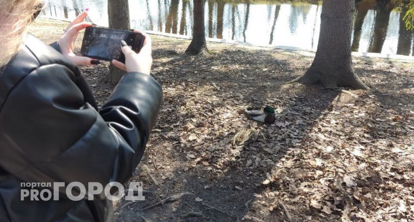 Медики Коми предупредили жителей об опасности фотосессий в осенней листве