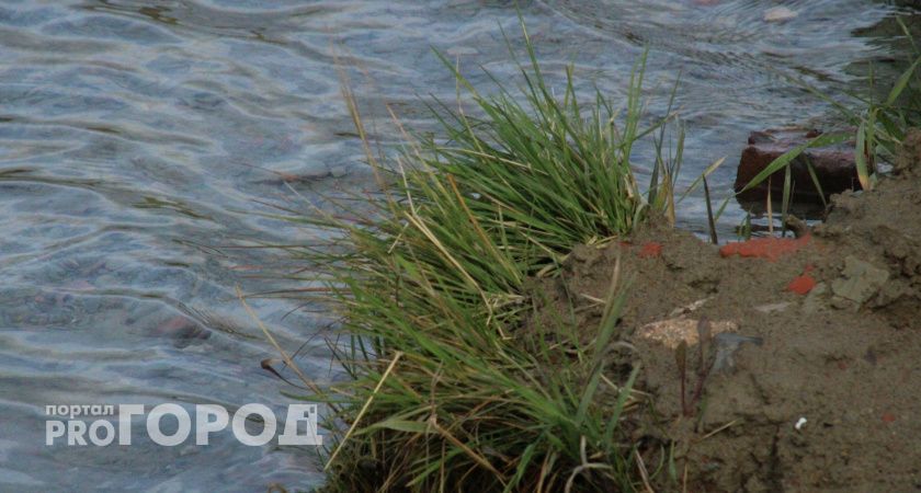 В одном из сел Коми введен режим повышенной готовности из-за засухи