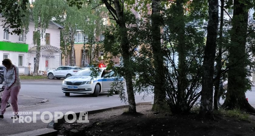 Жительница Коми раскусила лжеэлектриков, предложивших сменить счетчики