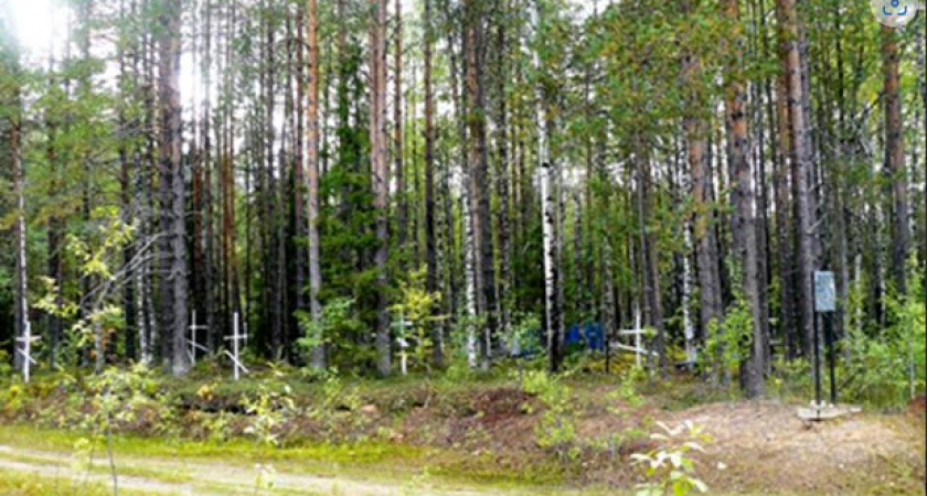 Кладбище спецпоселения в Коми стало объектом культурного наследия