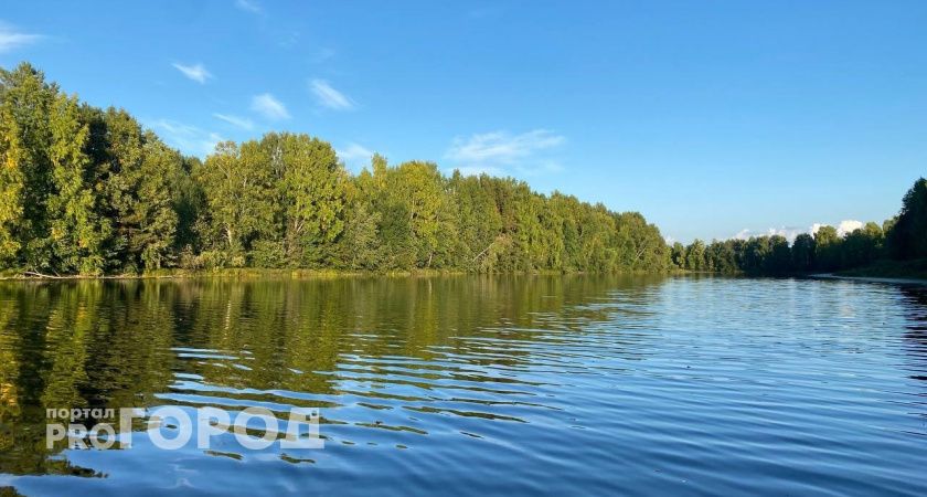 Ученые из Коми ищут способ сохранить краснокнижных рыб в водоемах республики