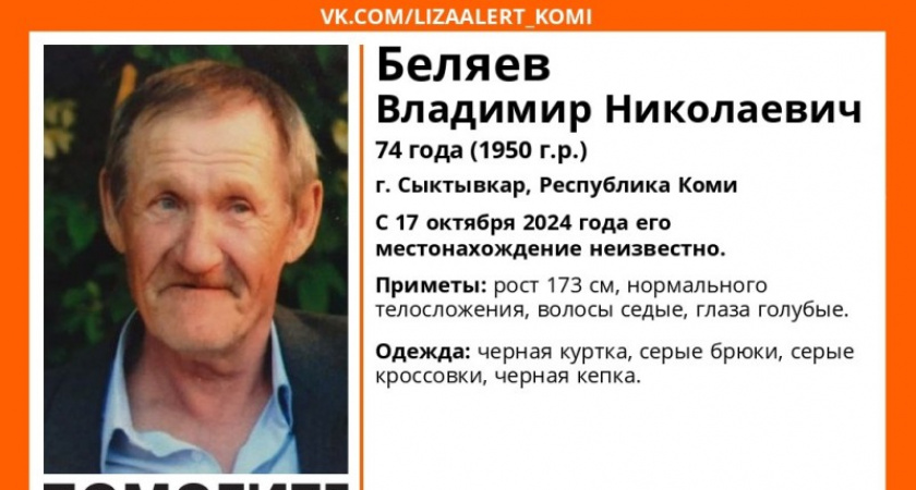 В Коми без вести пропал 74-летний мужчина