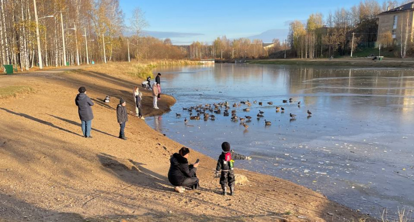 "Ангелы укроют своим крылом": Володина рассказала, каким знакам зодиака ноябрь принесет счастье и удачу