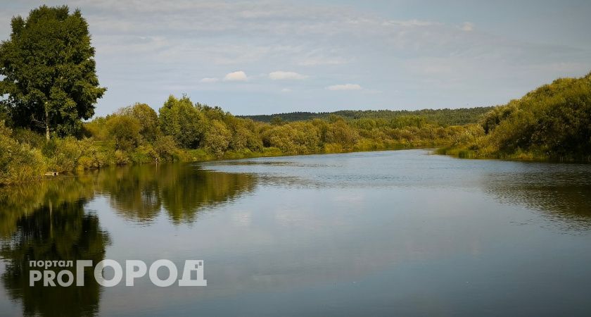 Моржи из Коми открыли сезон зимнего плавания