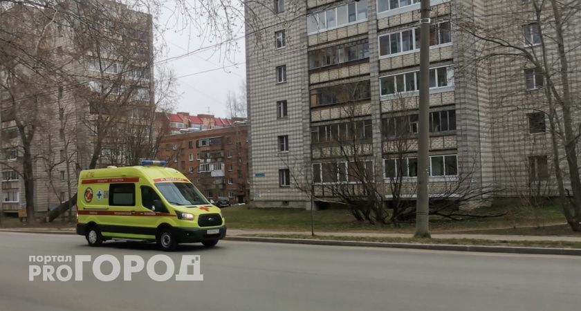 В одном из городов Коми бродячая собака напала на пенсионерку