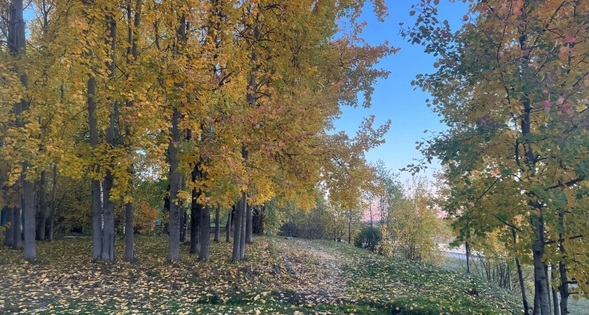 Фото к статье: Бабье лето заглянет на прощанье: синоптики озвучили даты последних тёплых деньков