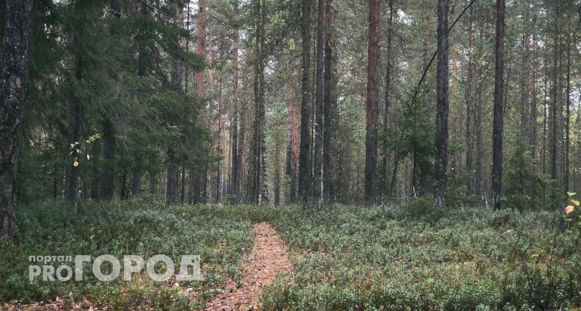 Синоптики рассказали о погоде в Коми на сегодня