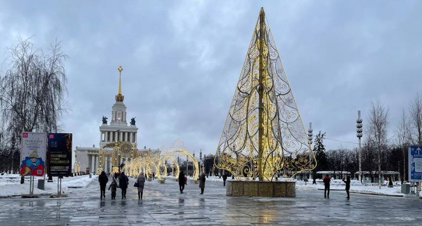 Змея будет в восторге: Что стоит приготовить, а от чего лучше отказаться на новогоднем столе