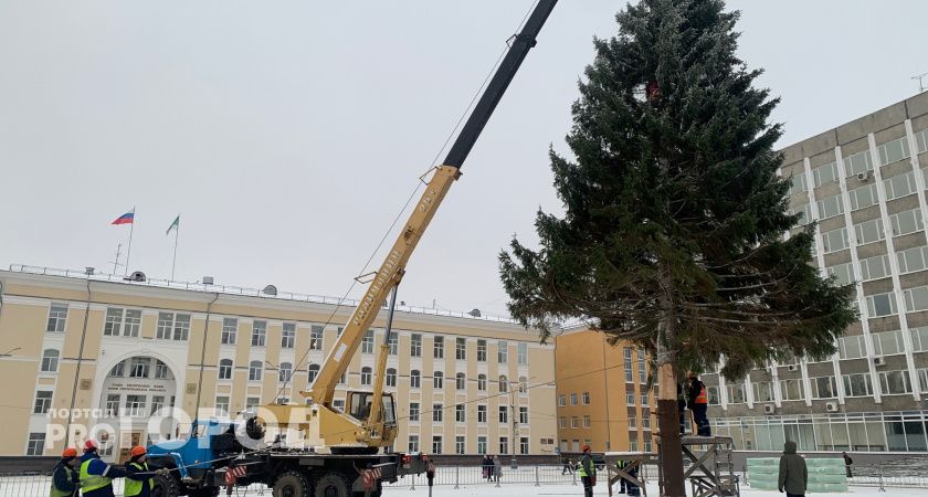 Главную новогоднюю елку Коми привезут на Стефановскую площадь уже 5 декабря