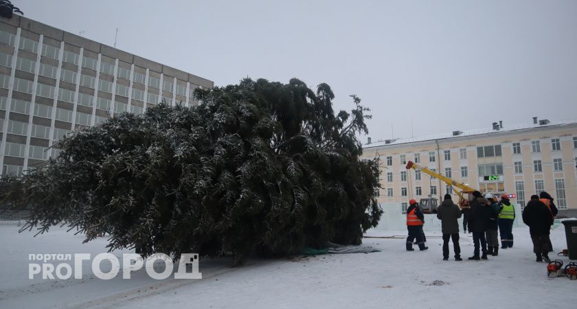 В столицу Коми приехала главная елка республики