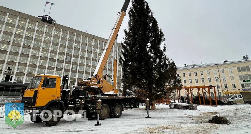 В Коми уже начали устанавливать главную елку республики