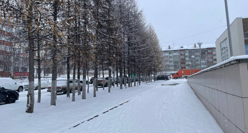 «Кошмар перед Рождеством». Синоптики поделились пугающим прогнозом на новогодние праздники